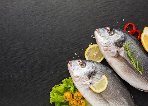 Foto grátis quadro de peixe plano com cópia-espaço