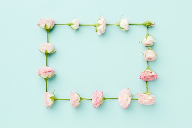 Quadro de rosas rosa liso leigos sobre fundo azul