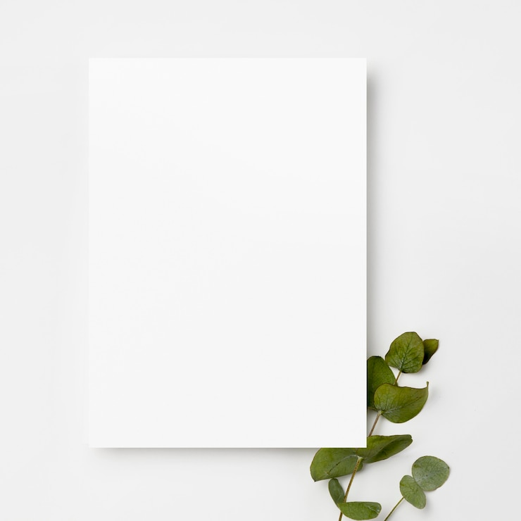 Foto grátis quadro de vista superior branco com folhas verdes