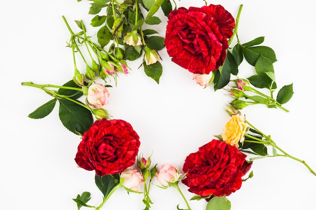Quadro em branco circular feito com rosas em fundo branco em branco