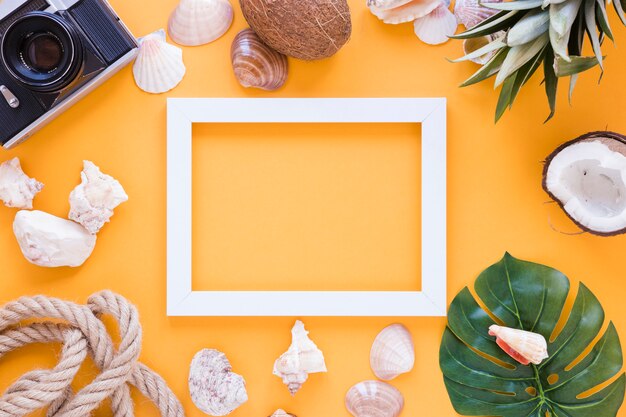 Quadro em branco com câmera, conchas e frutas