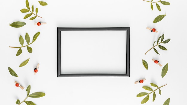 Quadro em branco com galhos de plantas verdes