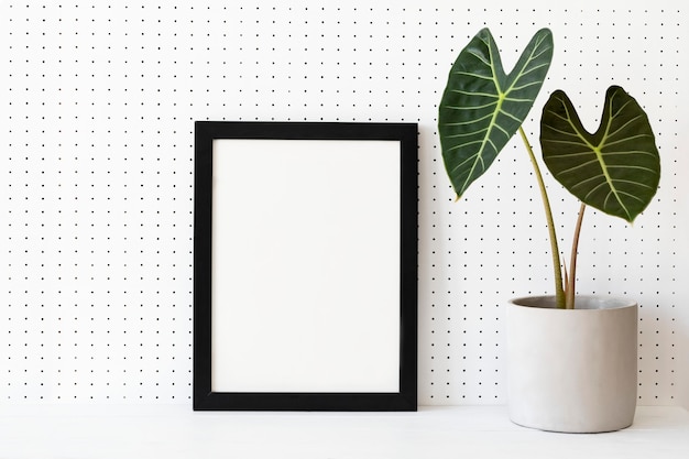 Foto grátis quadro em branco na prateleira de plantas ideias de decoração para casa