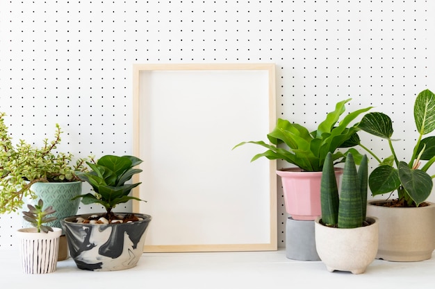 Quadro em branco na prateleira de plantas ideias de decoração para casa