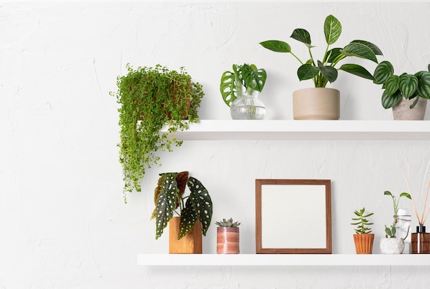 Quadro em branco na prateleira de plantas ideias de decoração para casa