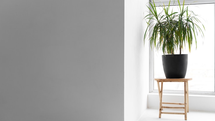 Foto grátis quarto moderno vazio com móveis
