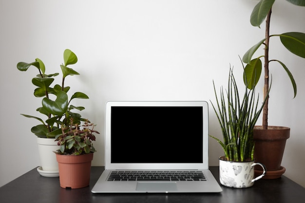 quatro vasos de plantas e aberto notebook pc com tela preta na mesa.