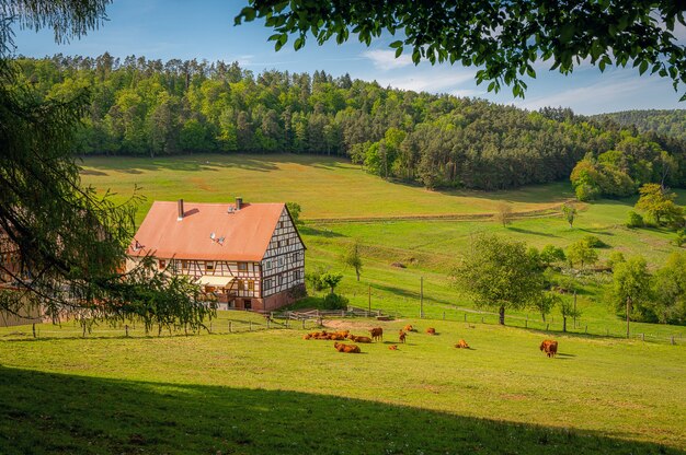 Que região linda, o Odenwald