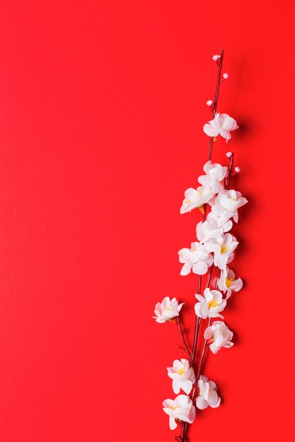 Ramo de flor de cerejeira em vermelho