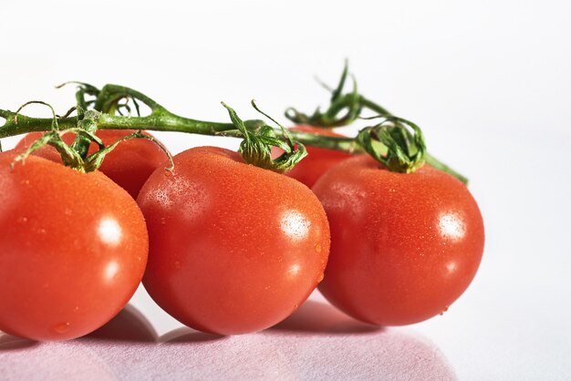 Ramo de tomates orgânicos vermelhos em um branco.