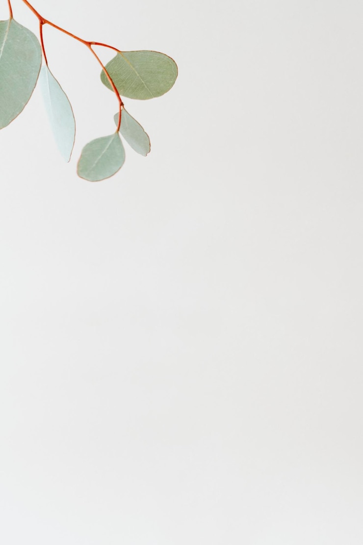 Foto grátis ramo verde em modelo social branco