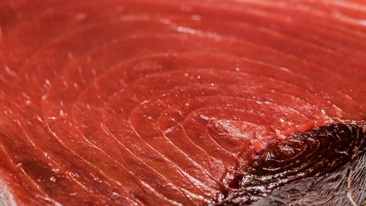 Foto grátis recém cortado peixe de carne vermelha no mercado