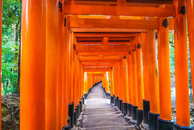 Red Tori no santuário de Fushimi Inari templo em Kyoto, Japão