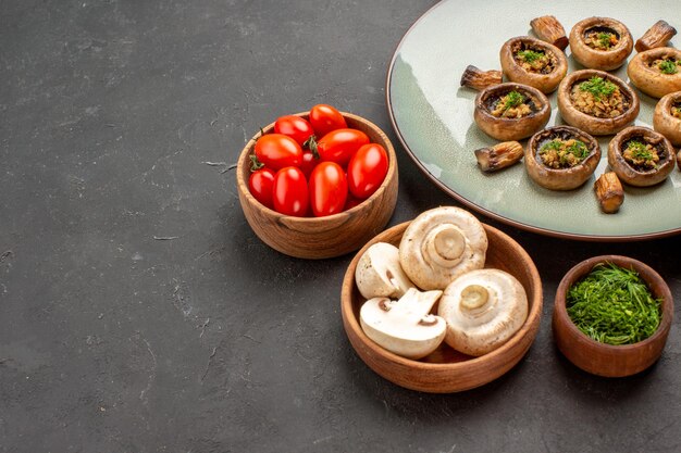 Refeição saborosa de cogumelos com verduras frescas e tomates no fundo escuro prato de jantar cozinhando cogumelos