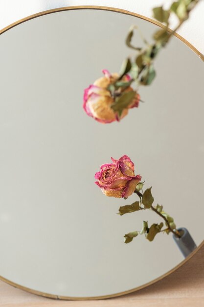 Reflexo de rosa rosa seca em um espelho redondo