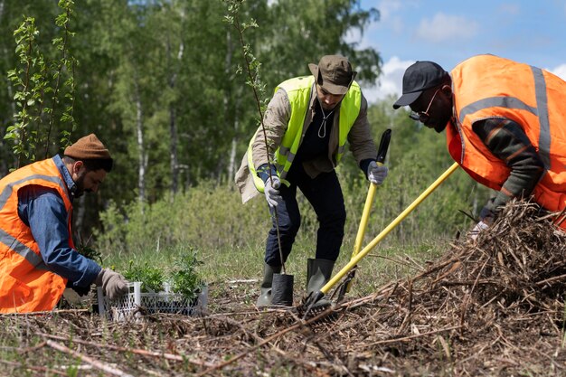 Reflorestamento feito por grupo voluntário