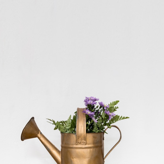Regador de cobre com flores