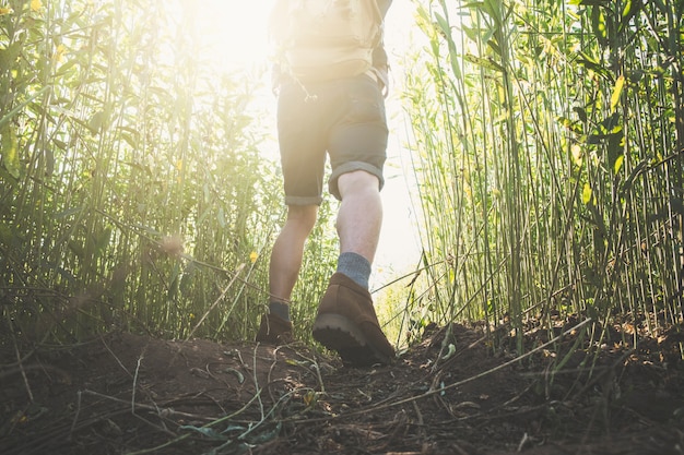 Relaxe aventura e estilo de vida caminhando conceito de idéia de viagem.