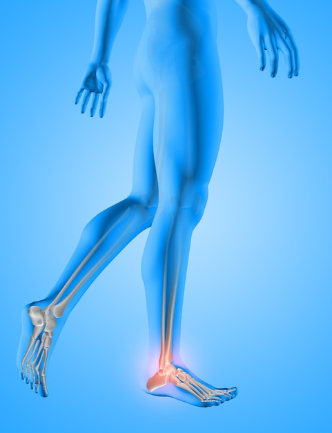 Renderização 3D de uma figura médica masculina com ossos dos pés em destaque