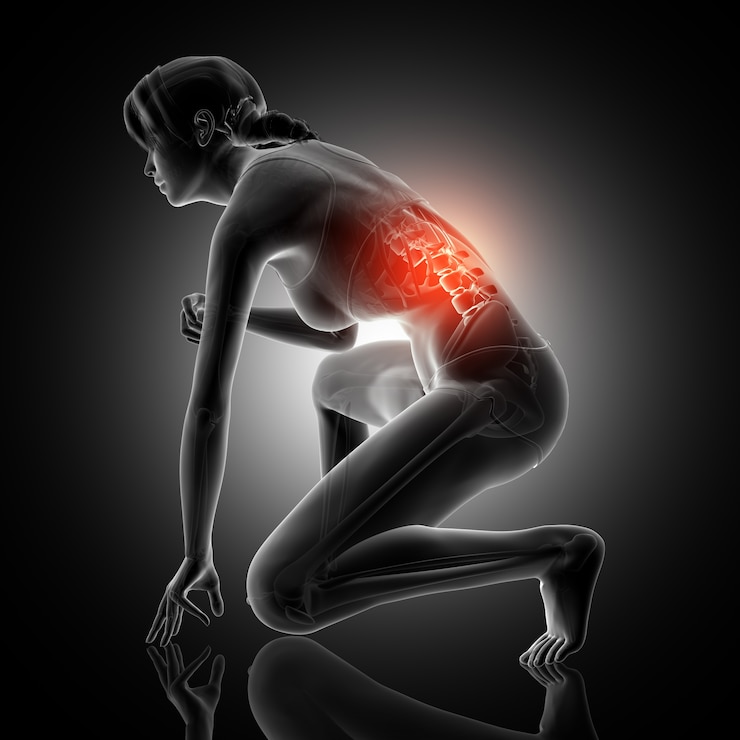 Foto grátis representação 3d de uma figura feminina agachada com coluna vertebral destacada