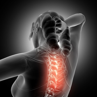 Representação 3d de uma figura feminina segurando pescoço com coluna vertebral destacada
