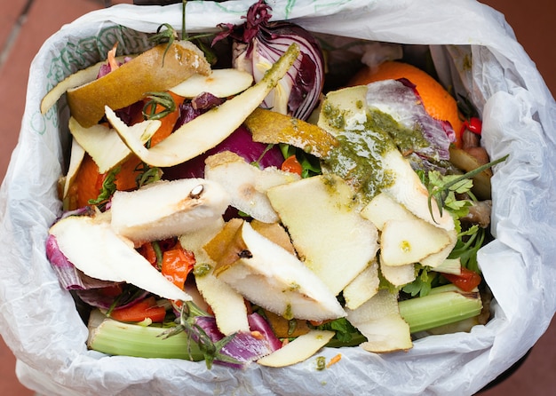 Resíduos orgânicos para compostagem