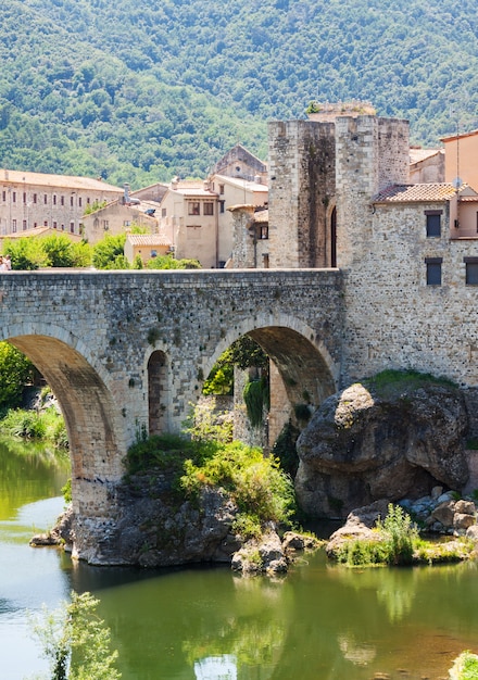 Foto grátis restos de besalu