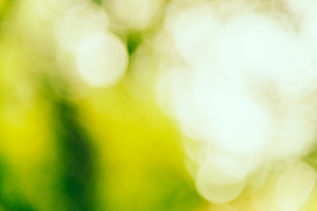 Resumo desfocar o fundo verde bokeh