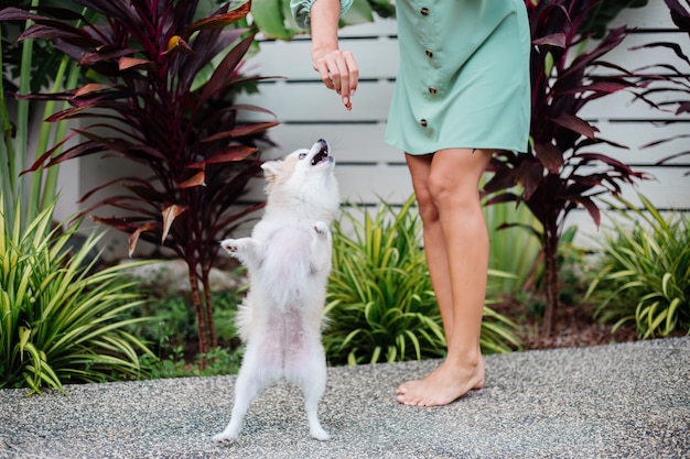 Foto grátis retrato ao ar livre de uma mulher bronzeada europeia cacheada segurando um feliz spitz de cachorro de estimação