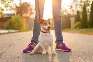 Foto grátis retrato de cachorro adorável ao ar livre