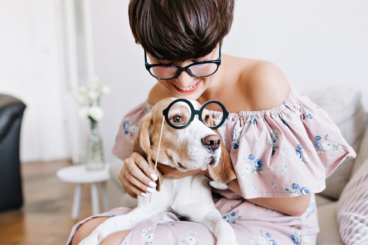 Foto grátis retrato de close-up de cachorro beagle com olhos grandes e tristes e menina alegre com cabelo curto segurando óculos