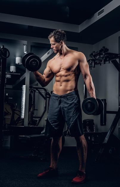 Retrato de corpo inteiro de homem sem camisa atlético fazendo exercícios de bíceps com halteres em um clube de ginástica.