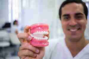 Foto grátis retrato de dentista segurando um conjunto de dentaduras