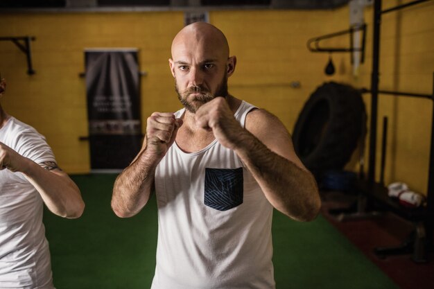 Retrato de dois boxer em pé