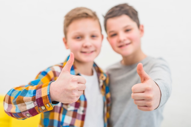 Foto grátis retrato, de, dois meninos, casa