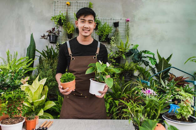 Retrato de jovem jardineiro asiático de pé e segurando duas belas plantas de casa nas mãos, sorrindo e olhando para a câmera