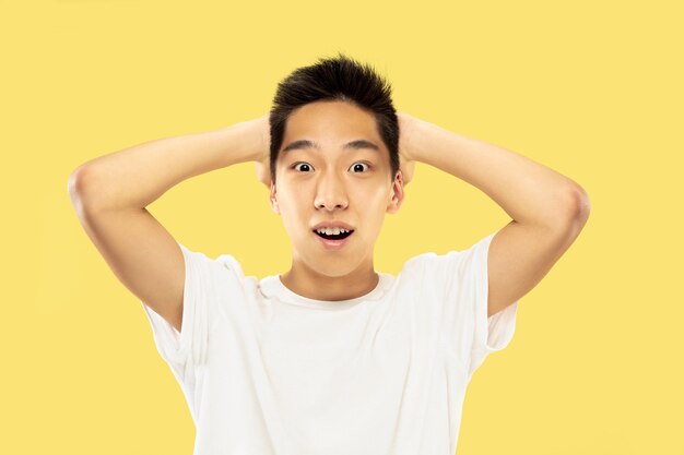 Retrato de meio comprimento de jovem coreano em fundo amarelo do estúdio. Modelo masculino em camisa branca. Comemorando e feliz como um vencedor ou campeão. Conceito de emoções humanas, expressão facial.