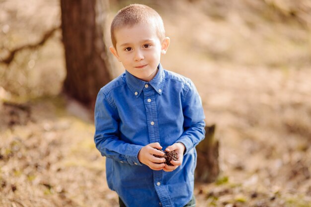 Retrato de menino adorável fofo segurando um monte de pinhas