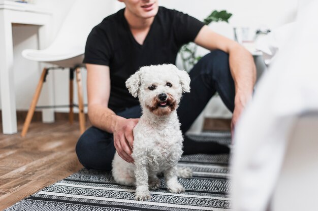 Retrato, de, um, cão senta-se, ligado, tapete