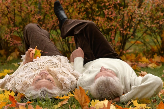 Retrato de um casal de idosos feliz deitado na grama verde com folhas outonais