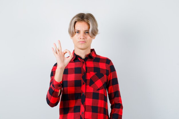 Retrato de um jovem adolescente mostrando um gesto de aprovação em uma camisa quadriculada e olhando de frente com satisfação