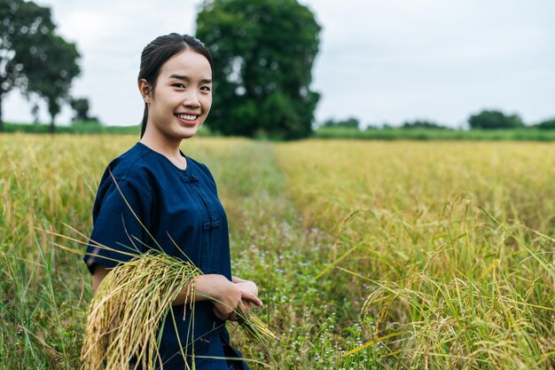 Retrato de uma jovem agricultora asiática segurando hastes de arroz maduro na armadura