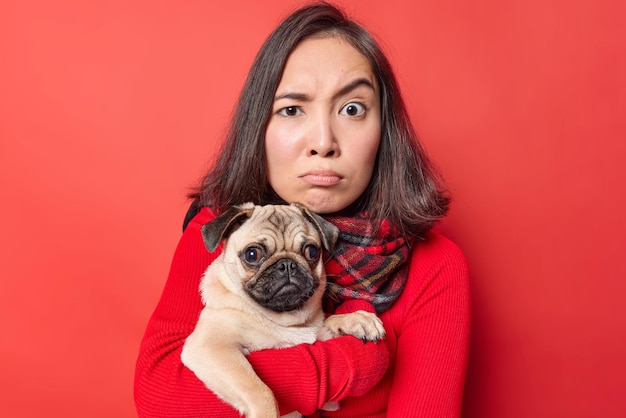 Retrato de uma mulher asiática séria concentrada atentamente na câmera levanta as sobrancelhas mantém o cão pug ouve conselhos sobre como se importar com poses de animais domésticos com animal de estimação contra fundo vermelho brilhante