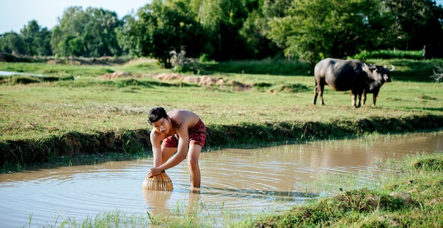Retrato Homem jovem em topless usando armadilha de bambu para pescar peixes para cozinhar