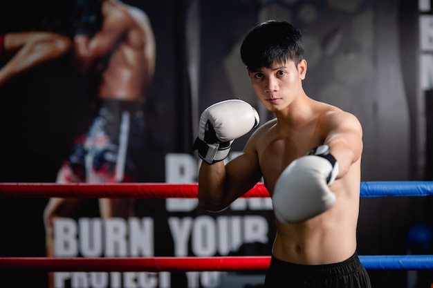 Retrato jovem bonito com luvas de boxe brancas em pé pose na tela no ginásio de fitness, ele levanta os braços para mostrar o músculo perfeito, aula de boxe de treino de homem saudável,