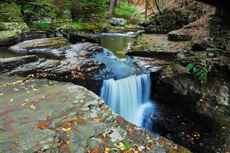 Foto grátis riacho da floresta