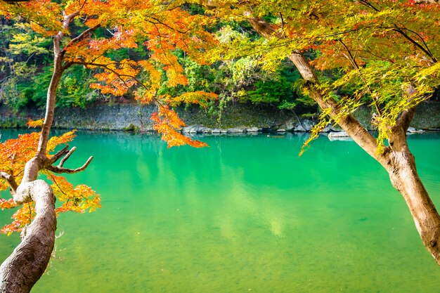 Rio Arashiyama bonito com árvore de folha de plátano e barco ao redor do lago