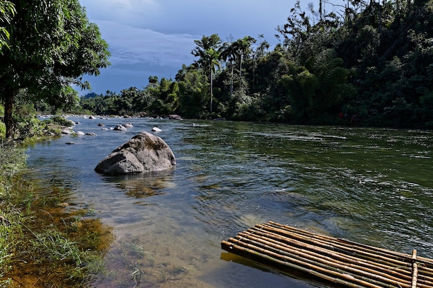 Rio com muitas pedras e uma jangada cercada por lindas árvores verdes