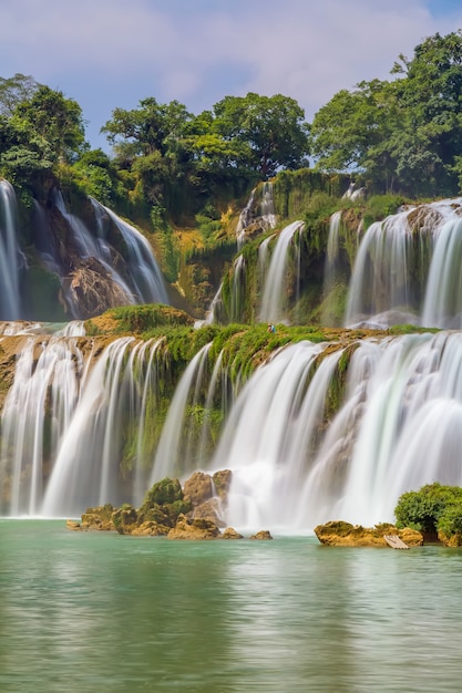 Rio de pedra limpa e selva