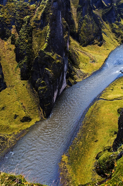 Foto grátis rio selvagem